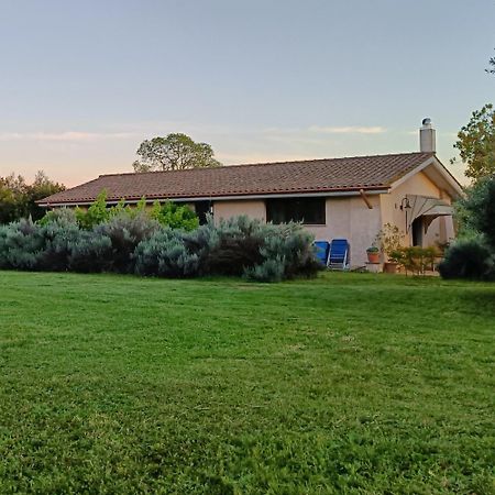Agriturismo Fontelupo Bracciano  Exterior photo