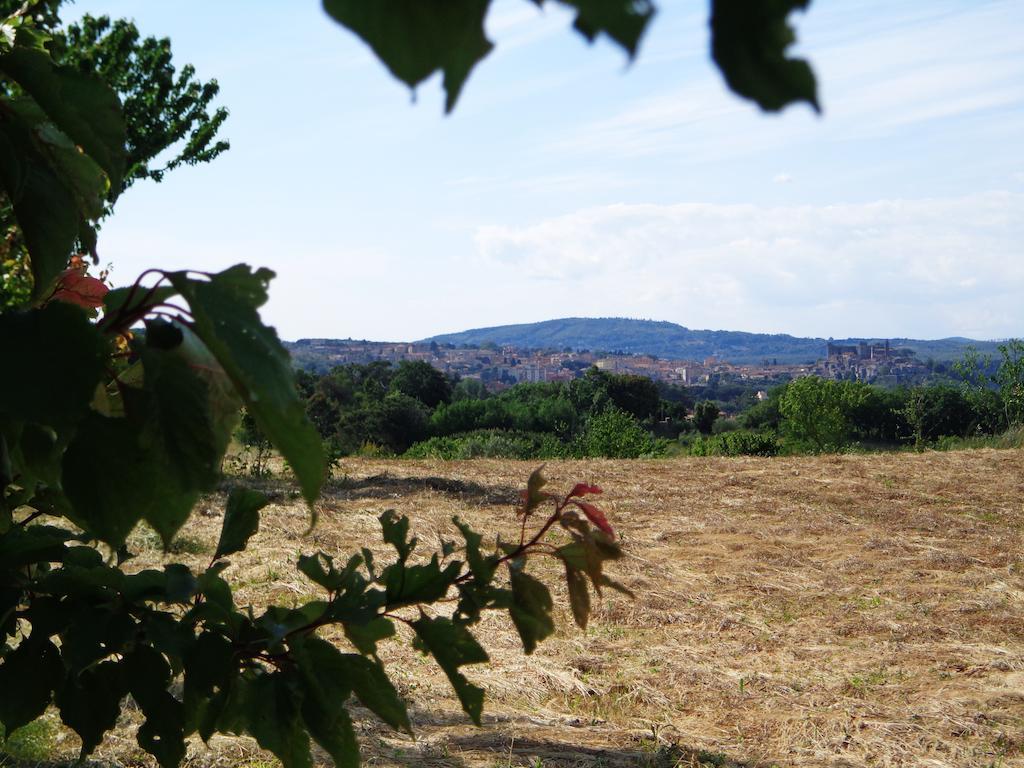 Agriturismo Fontelupo Bracciano  Exterior photo
